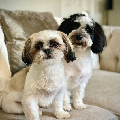 Custom Pet & Portrait Engraving on Premium Birch Wood